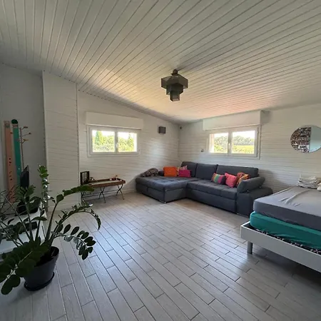 Belle Maison Familiale Avec Piscine Pechbusque