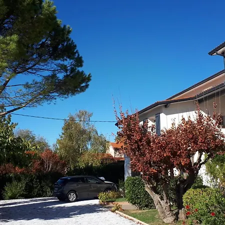 Villa Belle Maison Familiale Avec Piscine Pechbusque